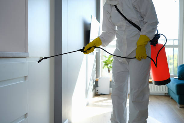 Best Black Mold Removal  in Cushing, OK