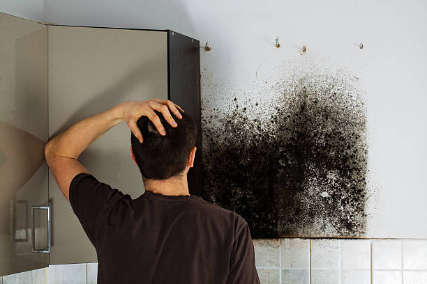 Best Toxic Mold Removal  in Cushing, OK