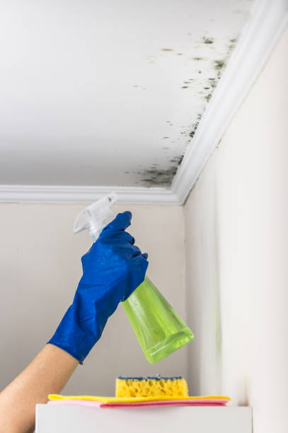 Best Certified Mold Removal  in Cushing, OK